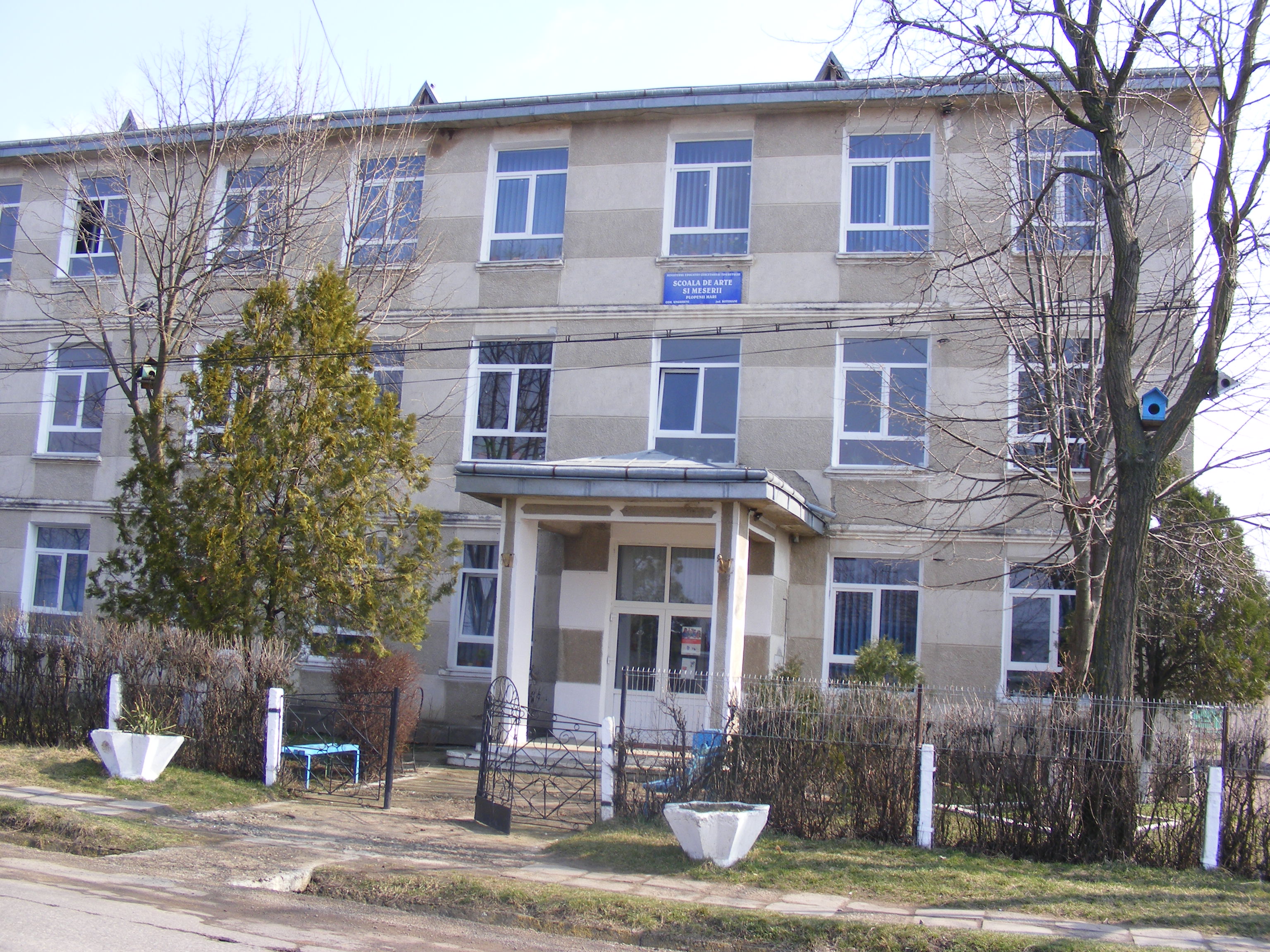 liceul tehnologic