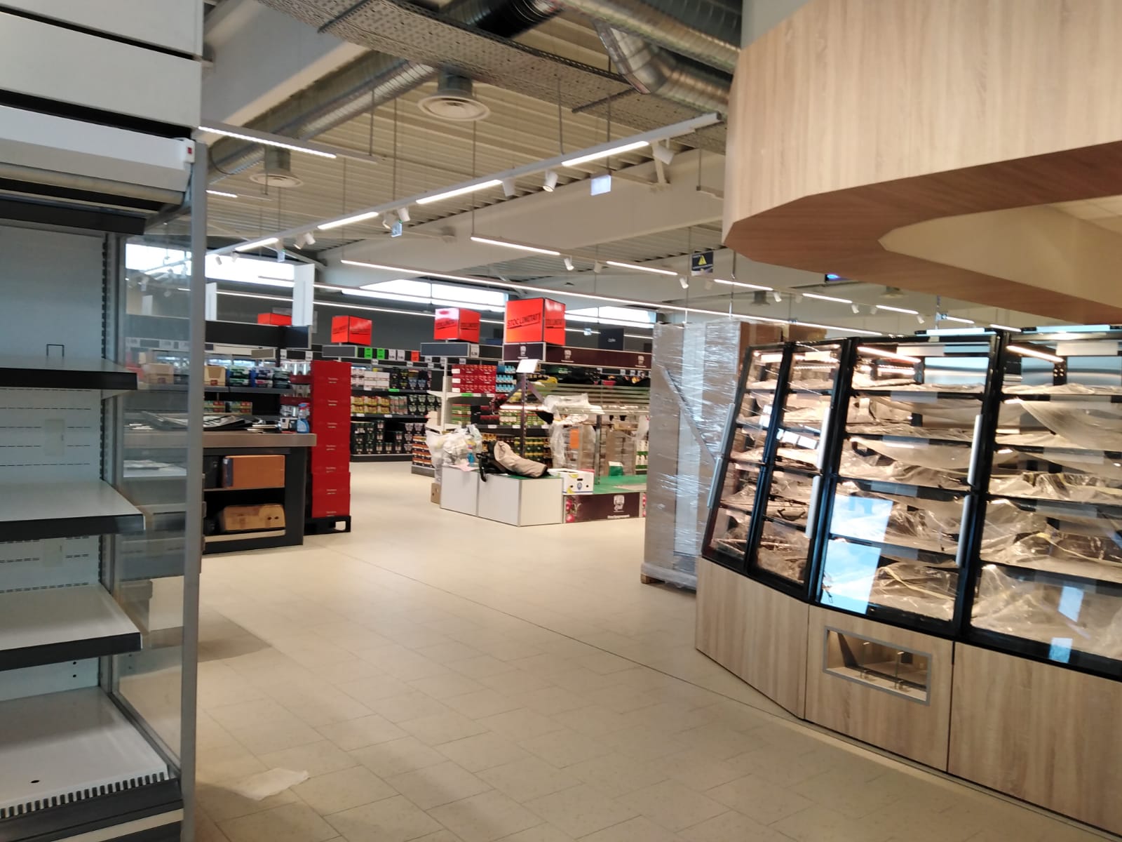 lidl botosani