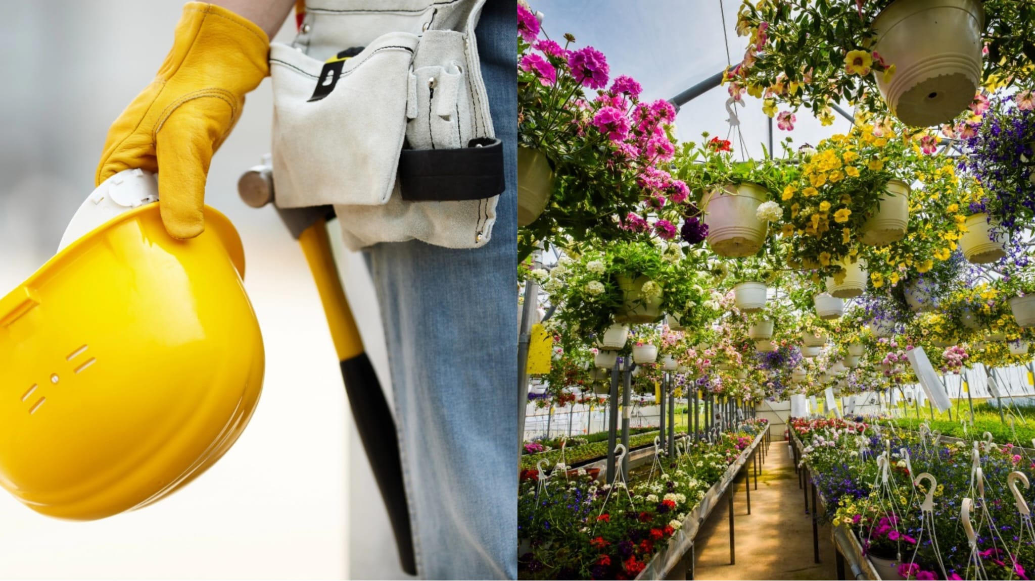 Locuri de muncă în străinătate pentru botoșăneni: De la inginer șef la lucrător în seră - LISTA