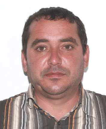 lucian brasoveanu
