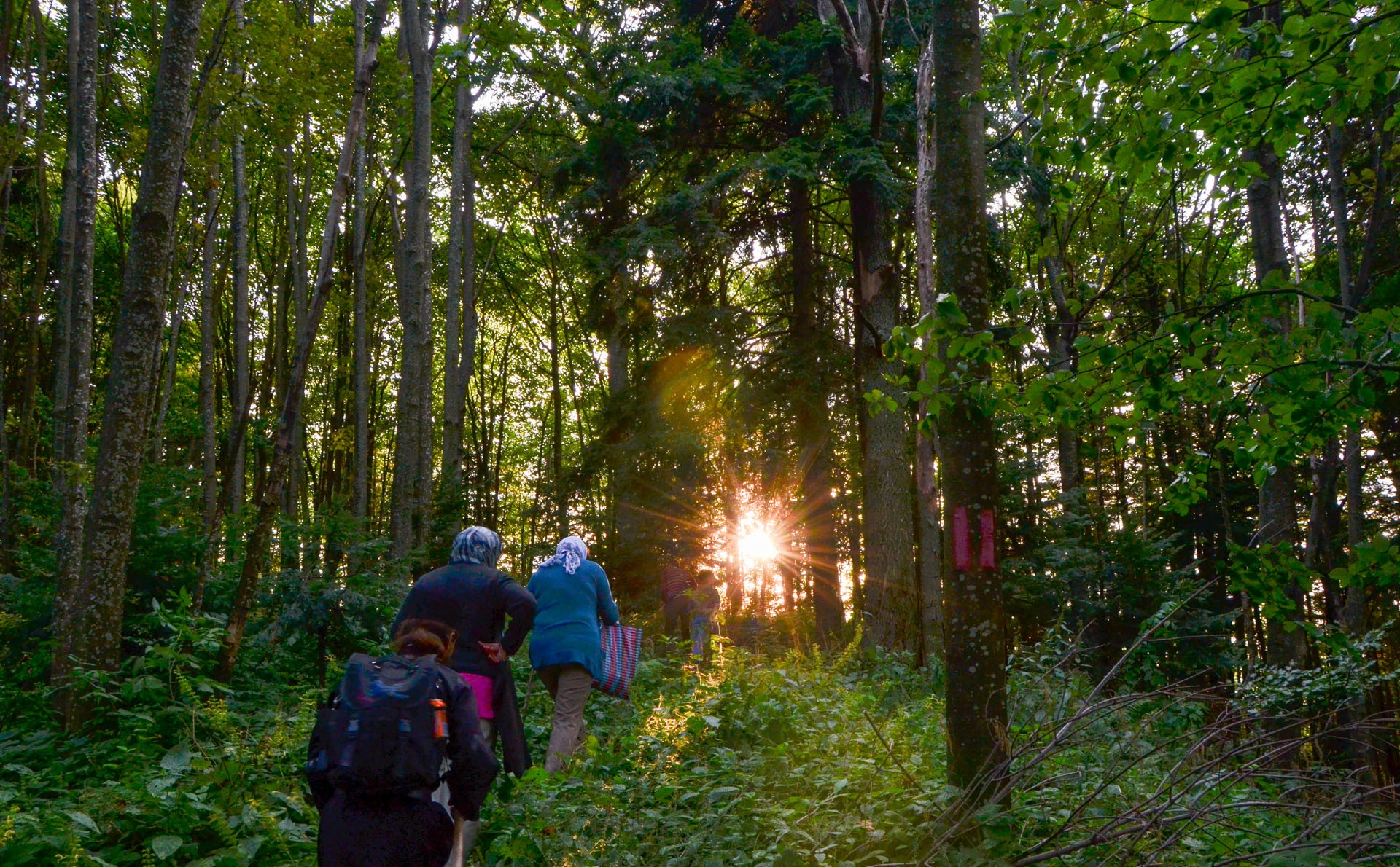 Sectorul de Misiune al Arhiepiscopiei Iașilor organizează două pelerinaje pedestre
