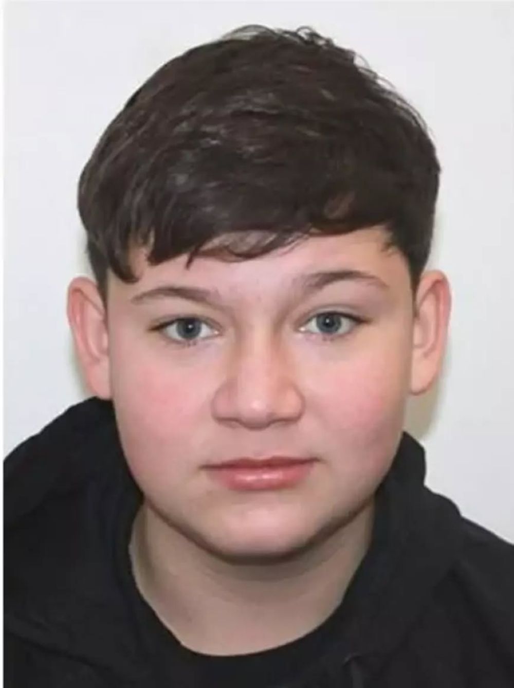 ȘOCANT: Adolescent ucis cu bestialitate de prieteni și îngropat pe câmp