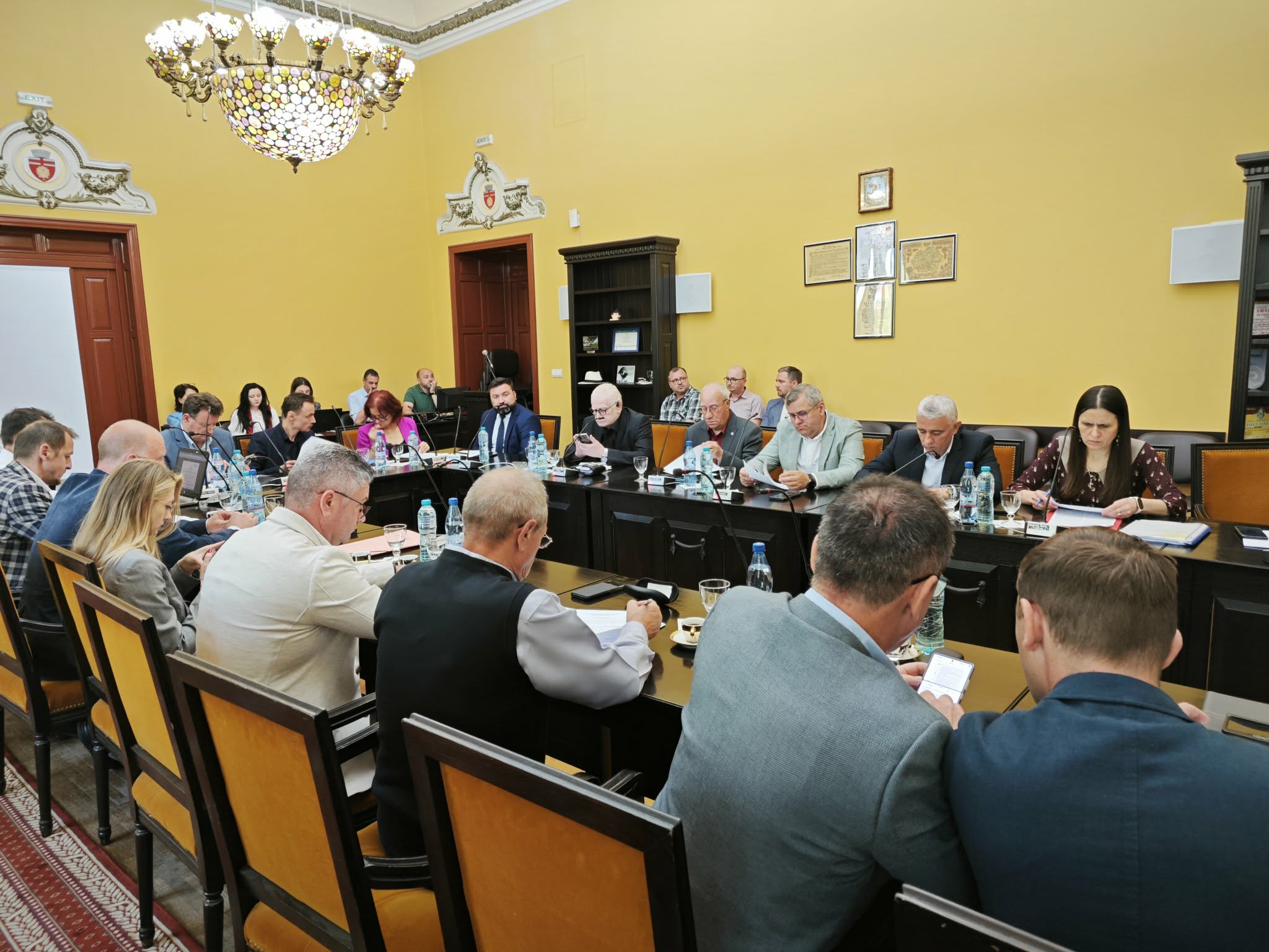 Marius Rogojinschi evaluat cu aproape 10