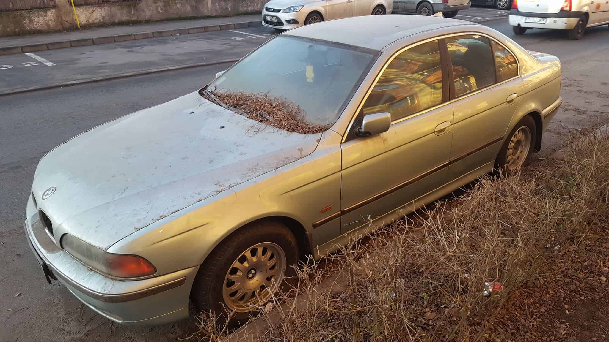 Poliția Locală dă drumul unul nou val de ridicări de mașini 