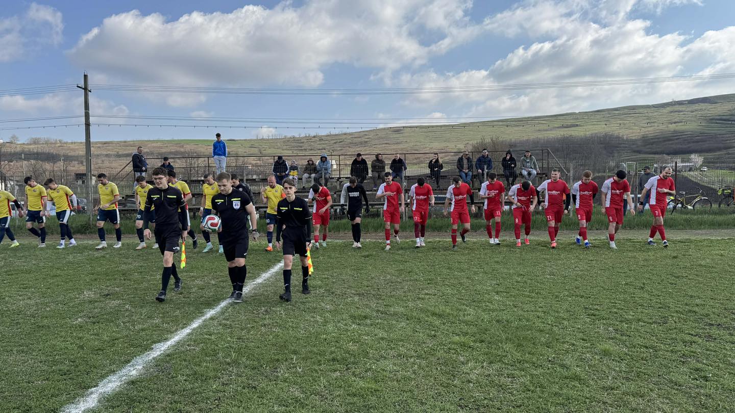 arbitru lovit de un suporter