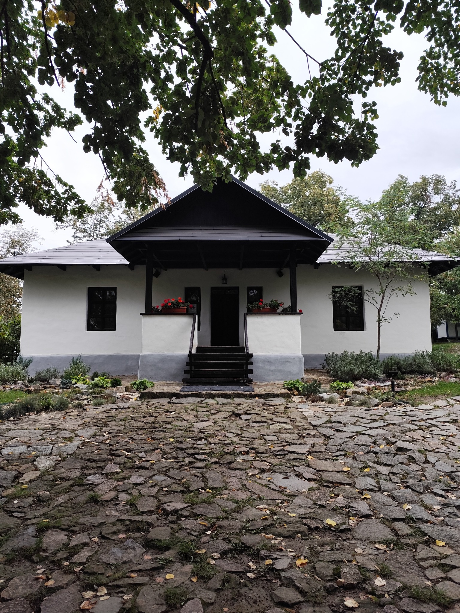 Un artist care trăiește în Cluj-Napoca expune la Memorialul Ipotești  