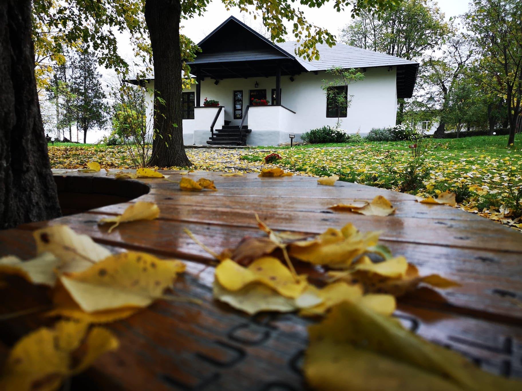 Concurs de proiecte pe bani la Memorialul Ipotești – DETALII despre competiție 