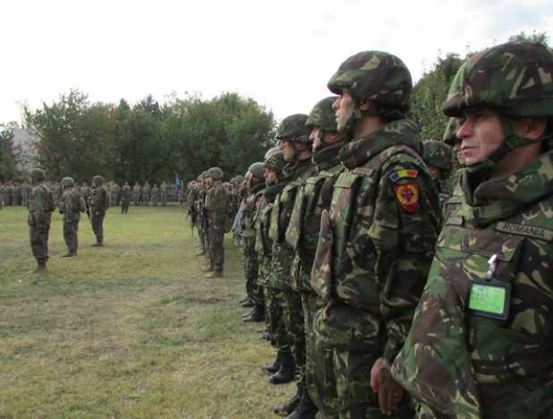 Proiect adoptat de Senat: Funcționarii publici care sunt rezerviști voluntari nu sunt în stare de incompatibilitate