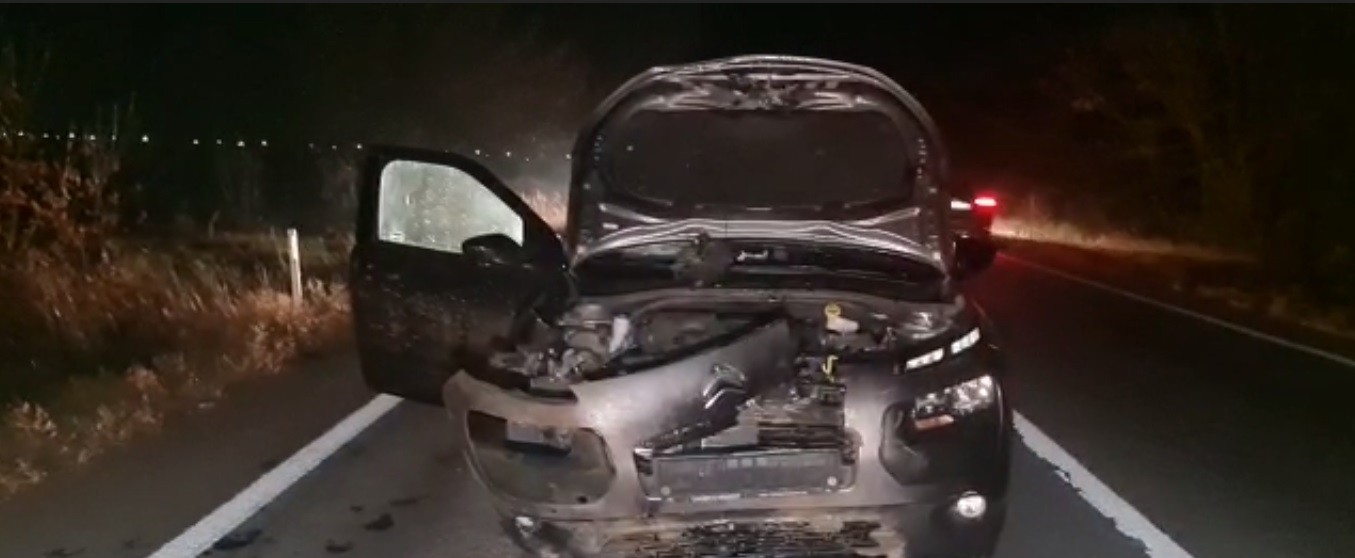 Un botoșănean a lovit mortal un porc mistreț 