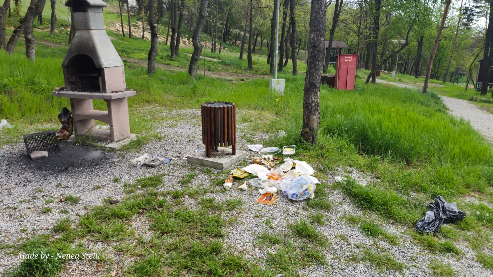 poza zilei 28 aprilie 2026