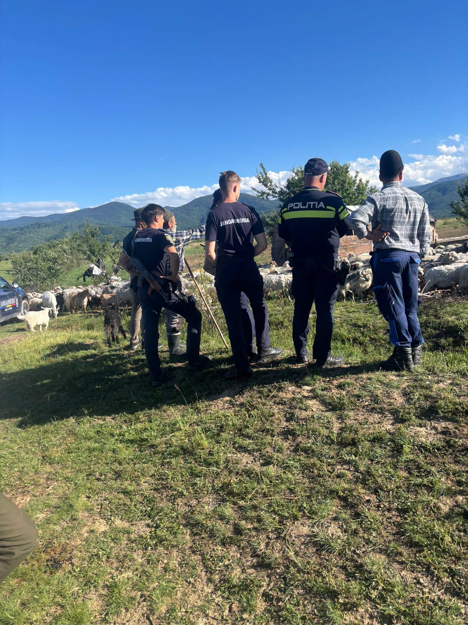 mort la stana botosani