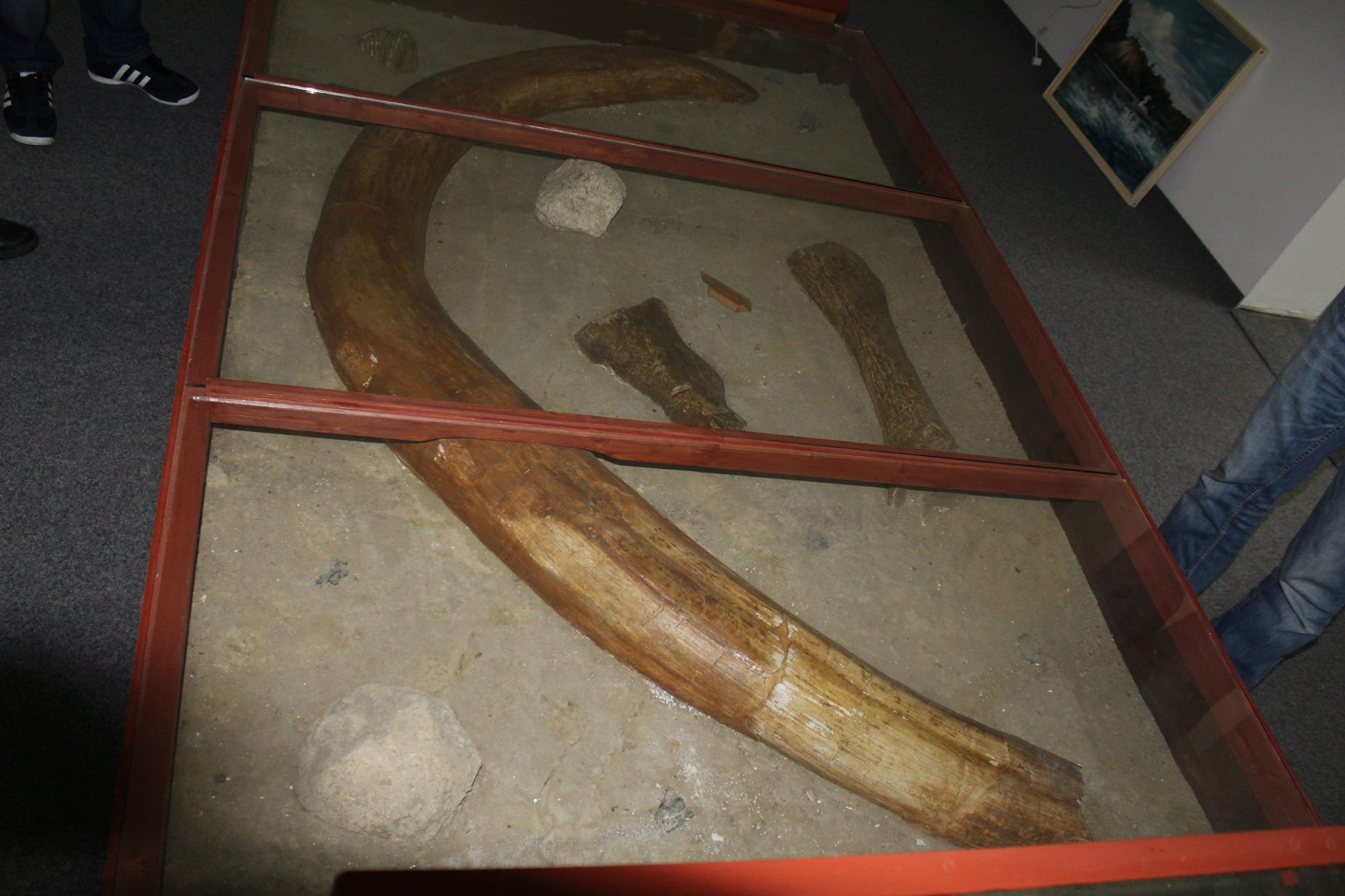 Comoară arheologică spectaculoasă la un muzeu din Botoșani