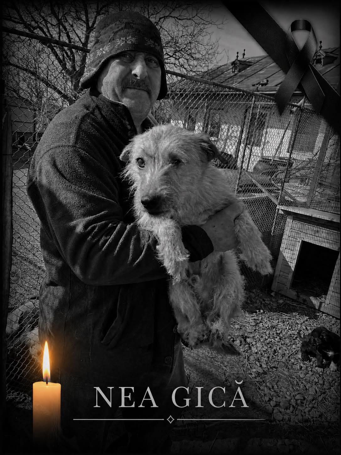 Nea Gică de la Triovet