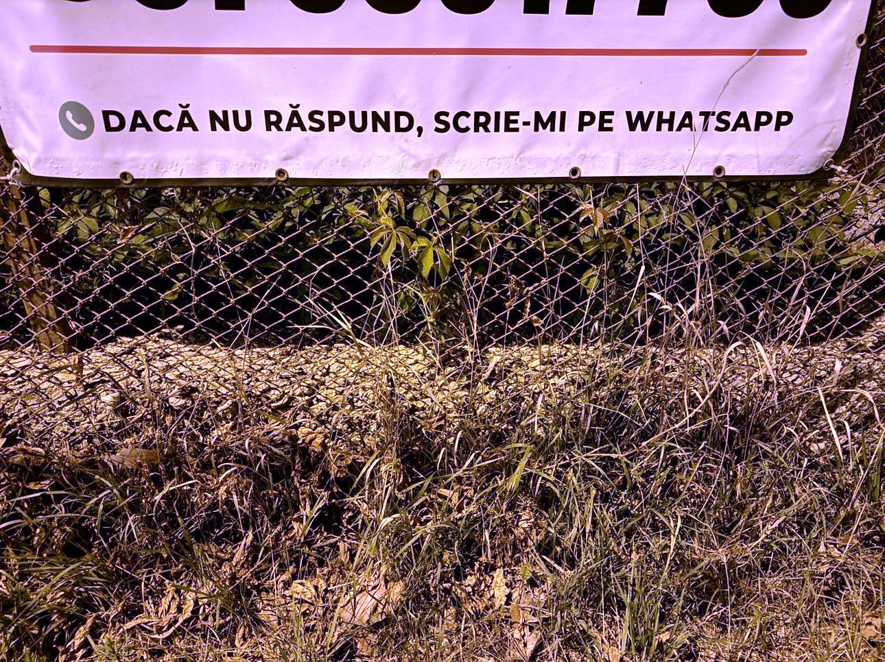 Poza zilei 16 septembrie 2024