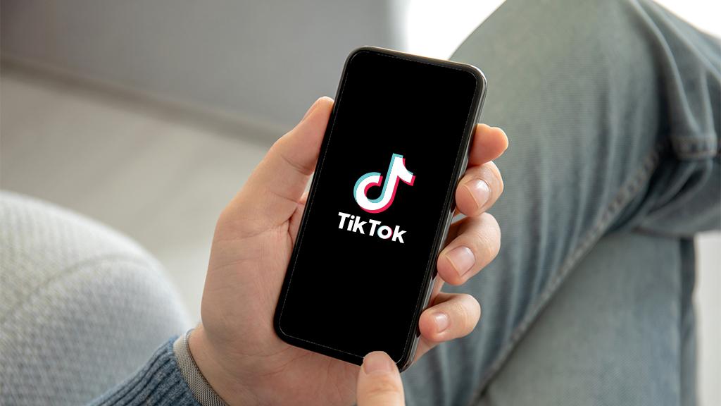 o botosaneanca cere interzicerea tiktik.j