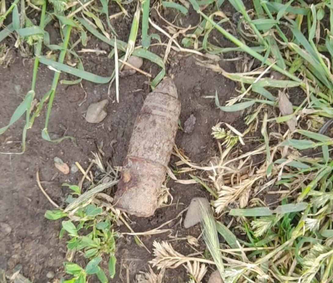 SEARA TRECUTĂ: Proiectil găsit de o botoșăneancă în timp ce săpa în grădină