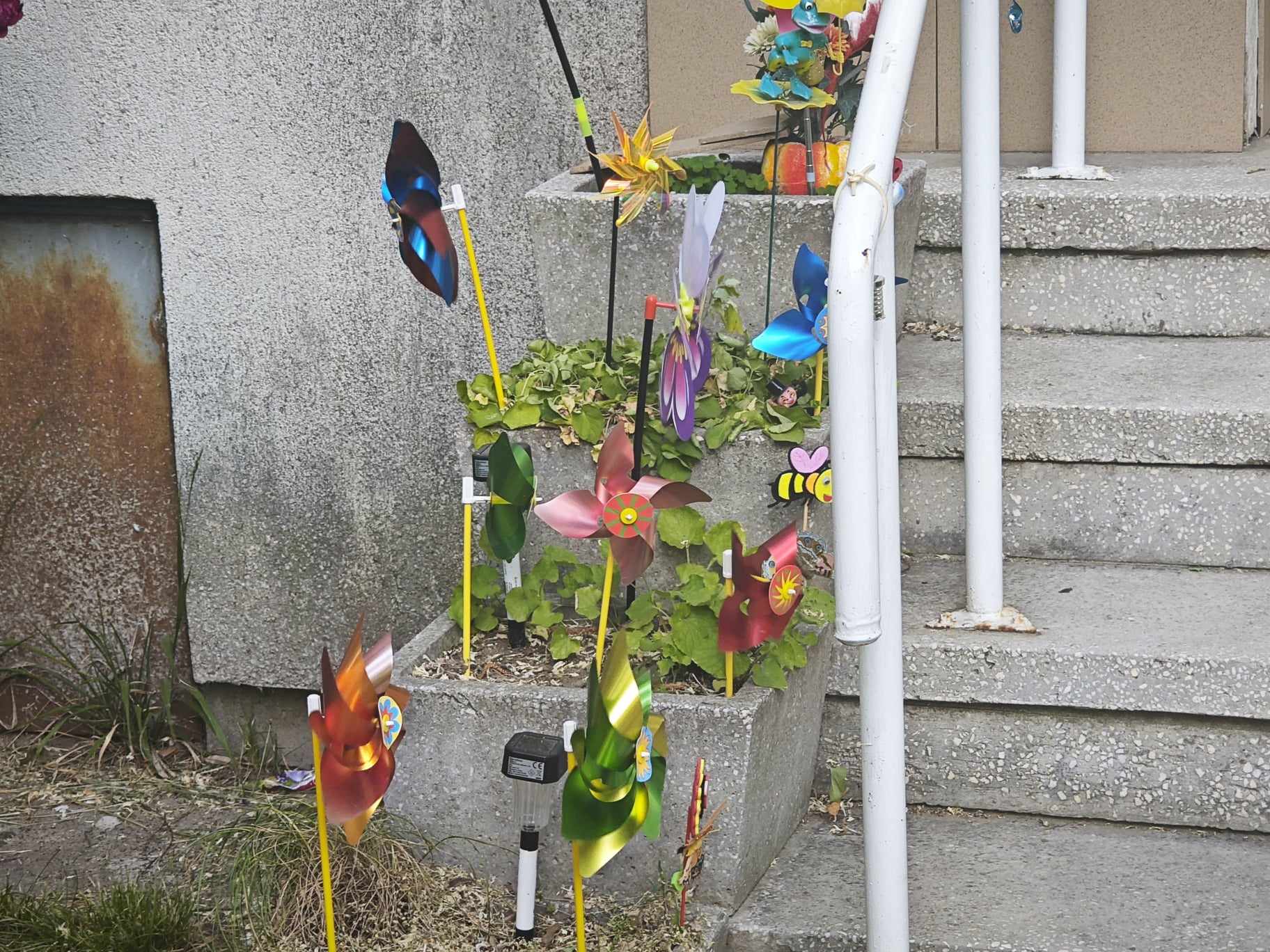 Poza zilei 27 mai 2024