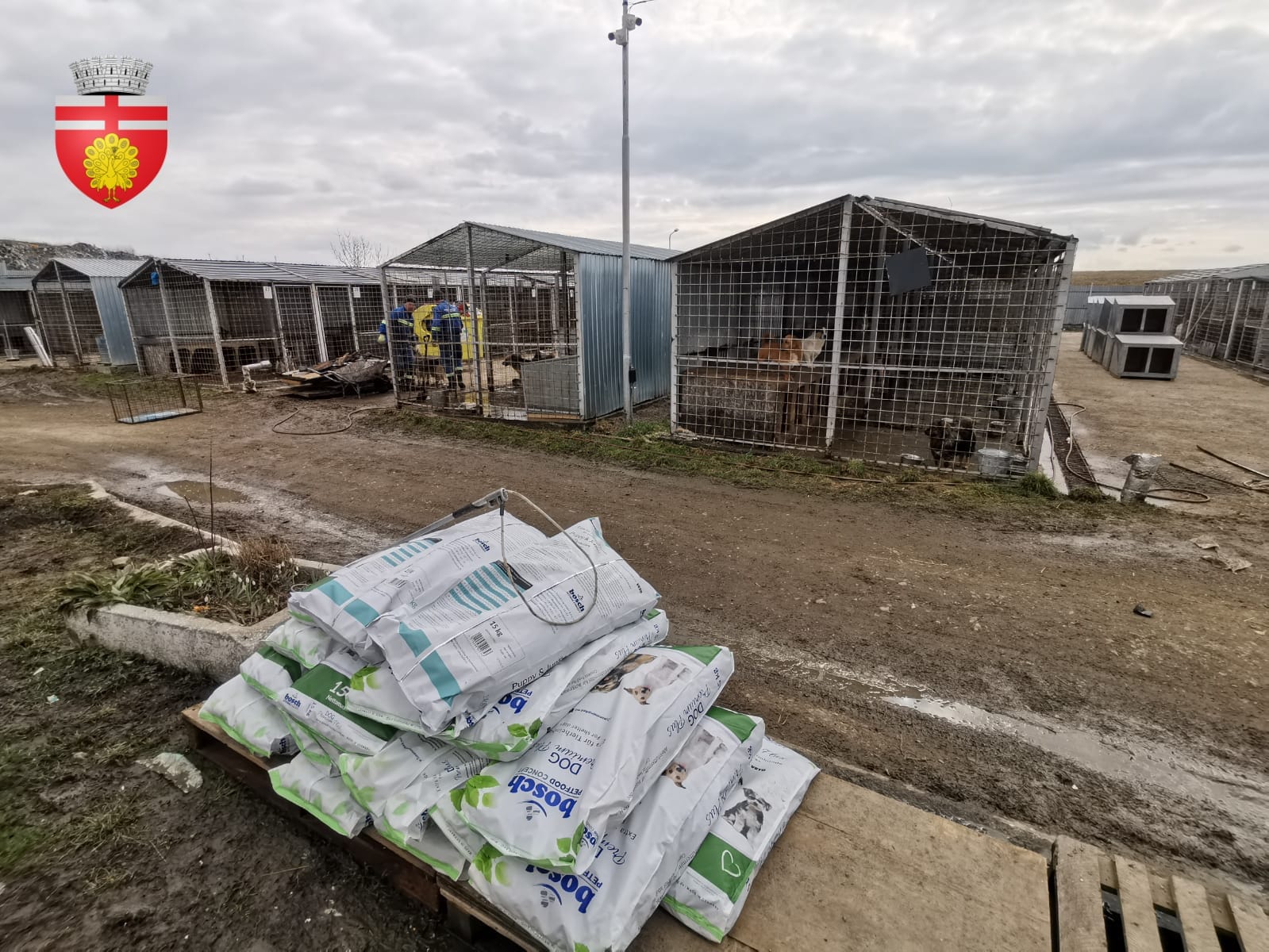 padocul botosani concurs medic veterinar.