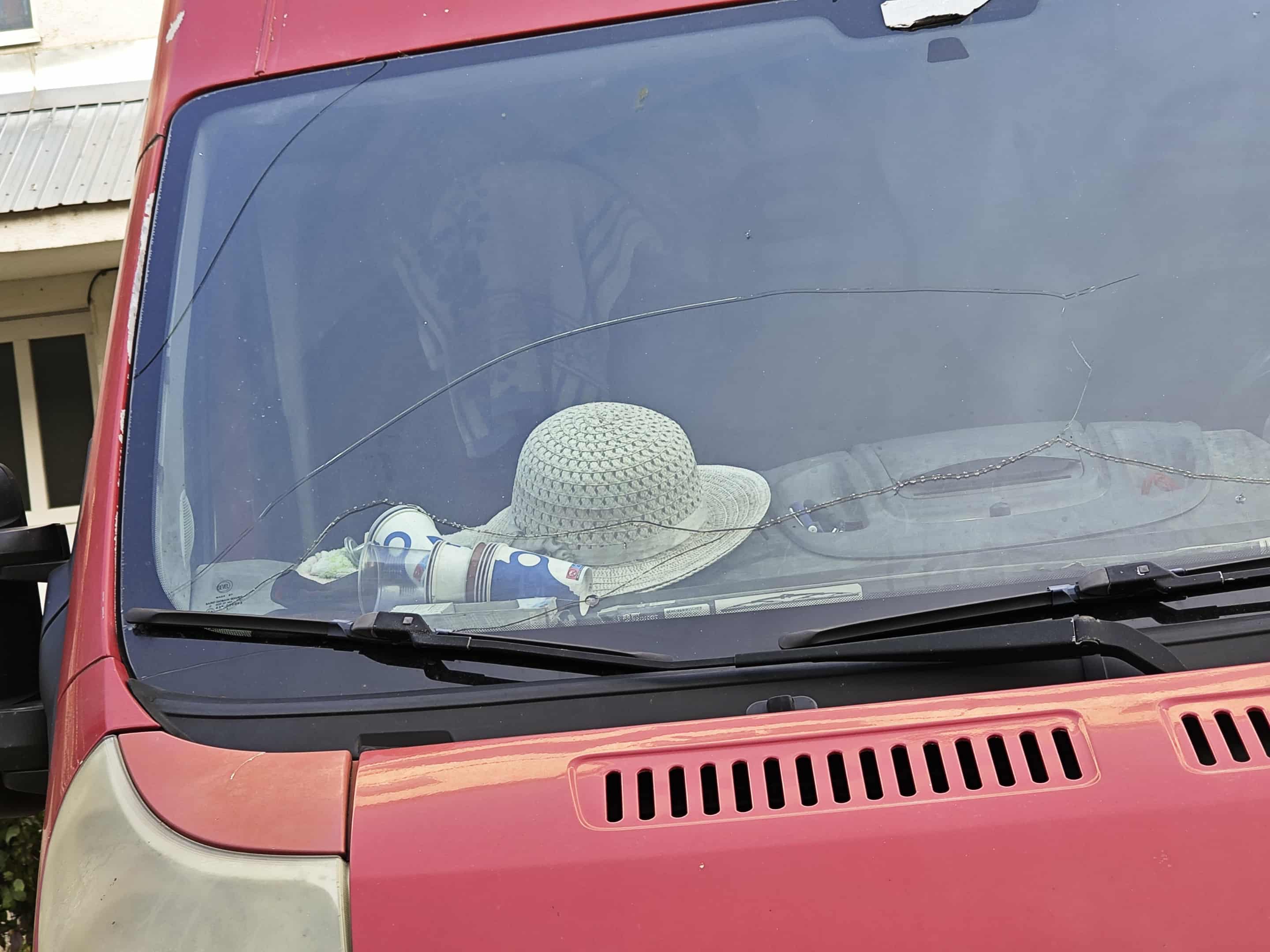 Poza zilei 16 octombrie 2025 