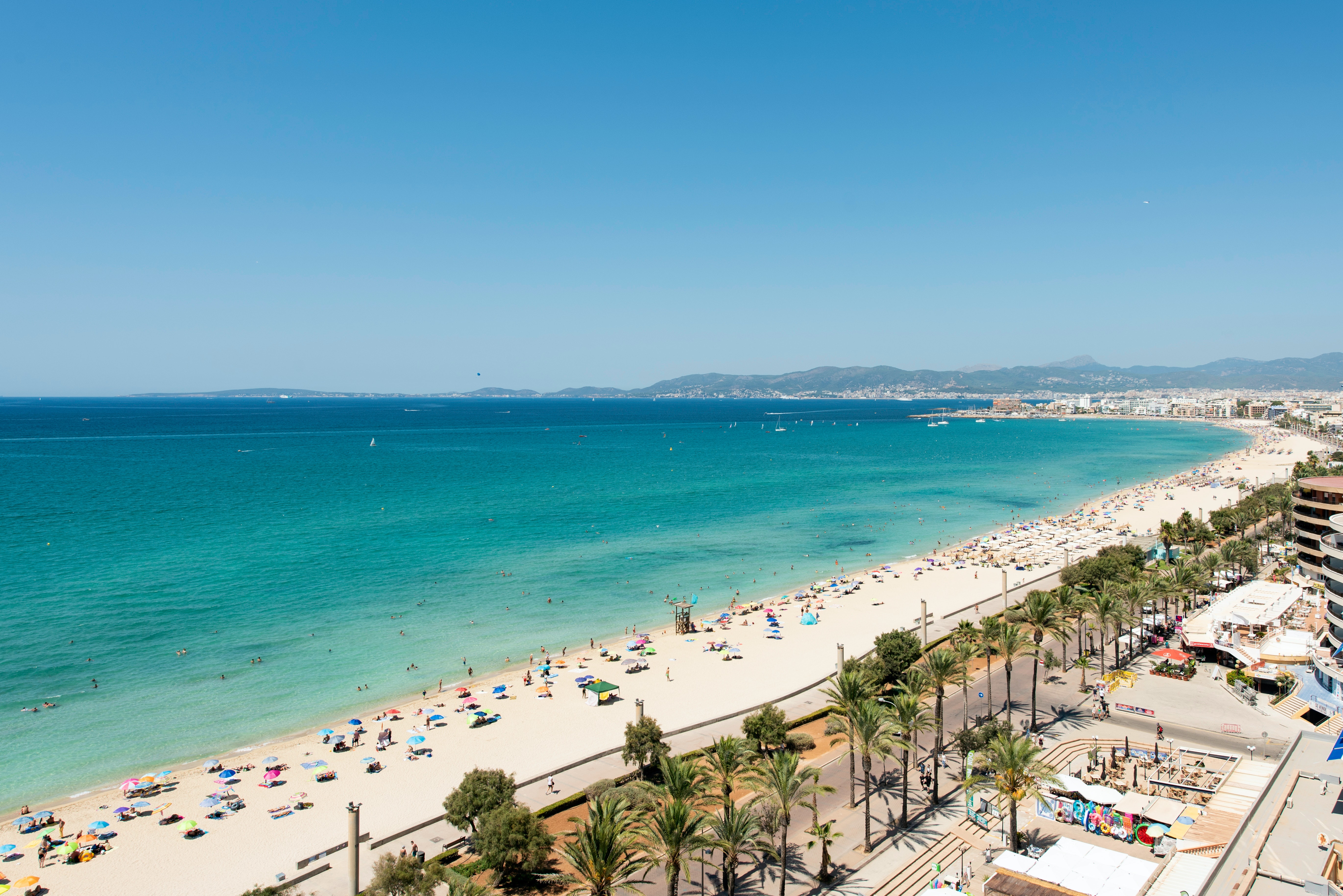 palma de mallorca