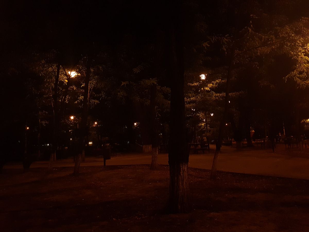 Primăria Botoșani anunță dezinsecție în parcuri și în alte zone din oraș