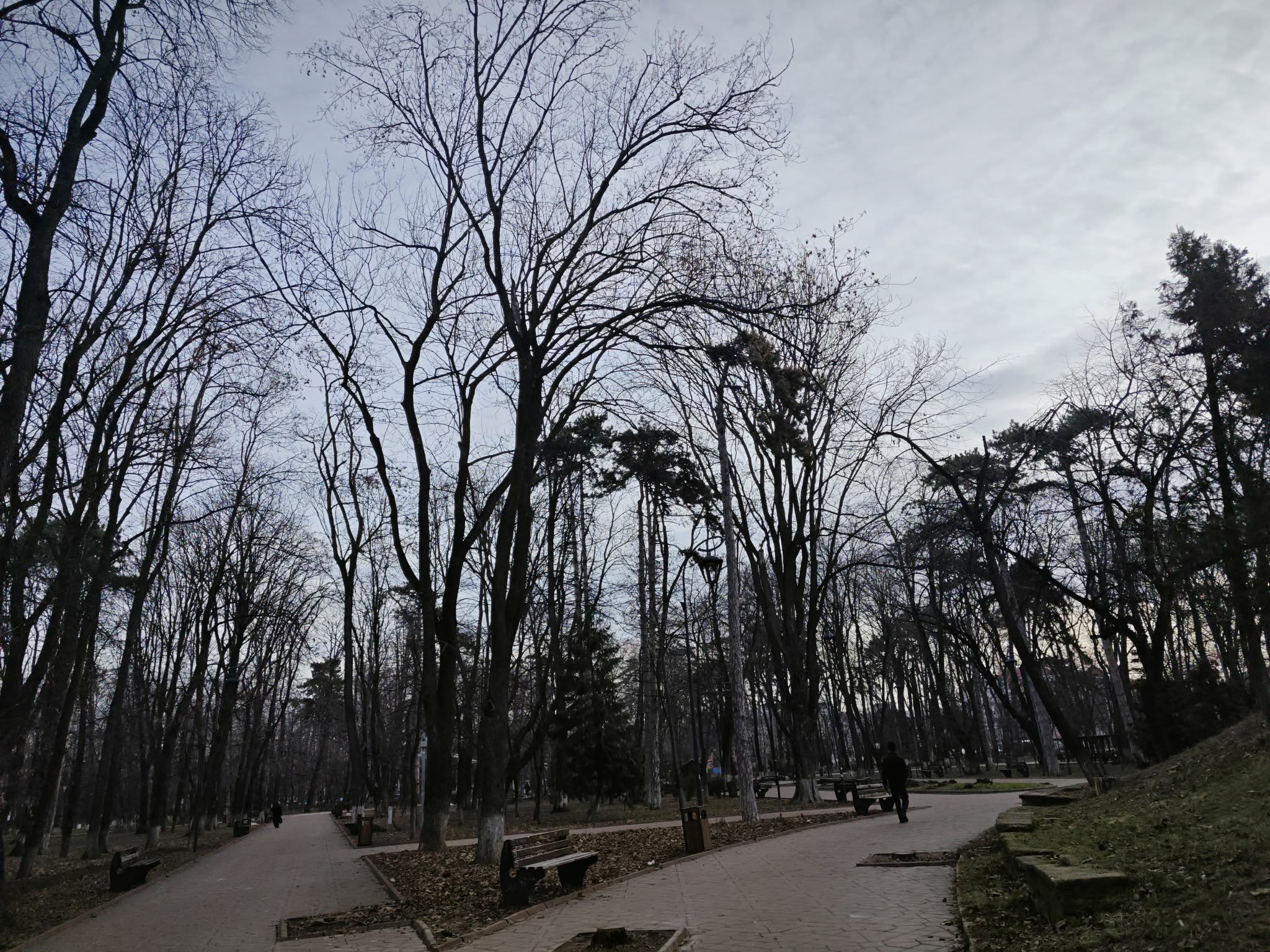 Vremea se încălzește de marți – PROGNOZA meteo pentru două săptămâni