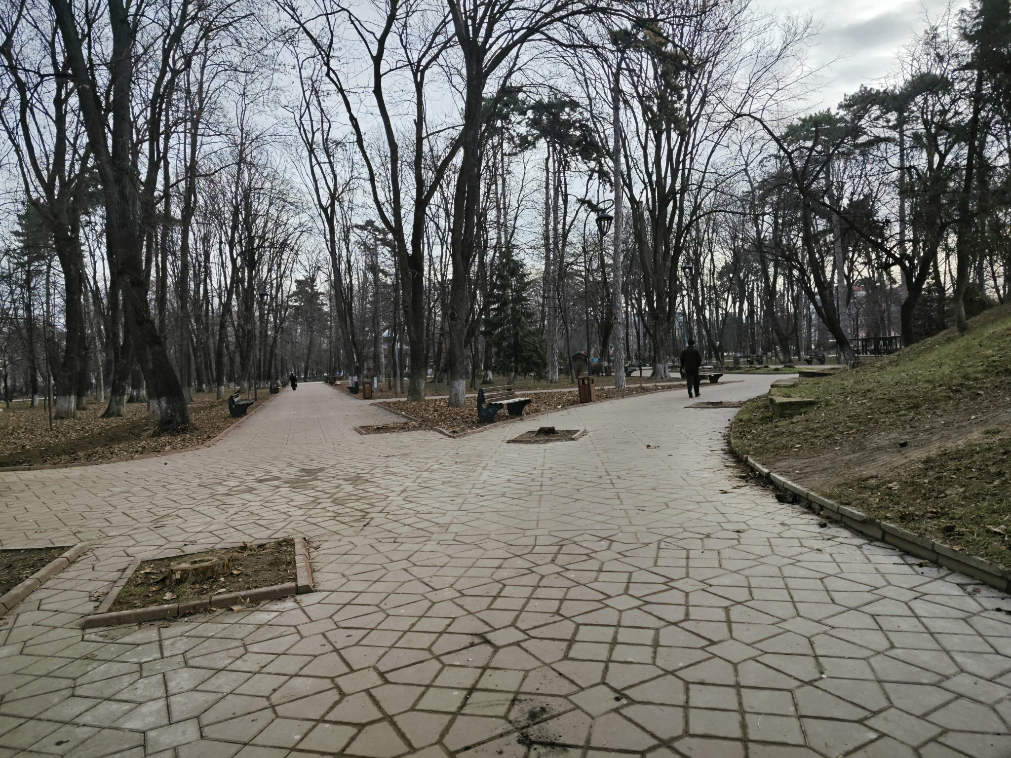 VINERI: COD GALBEN anunțat de meteorologi la Botoșani 