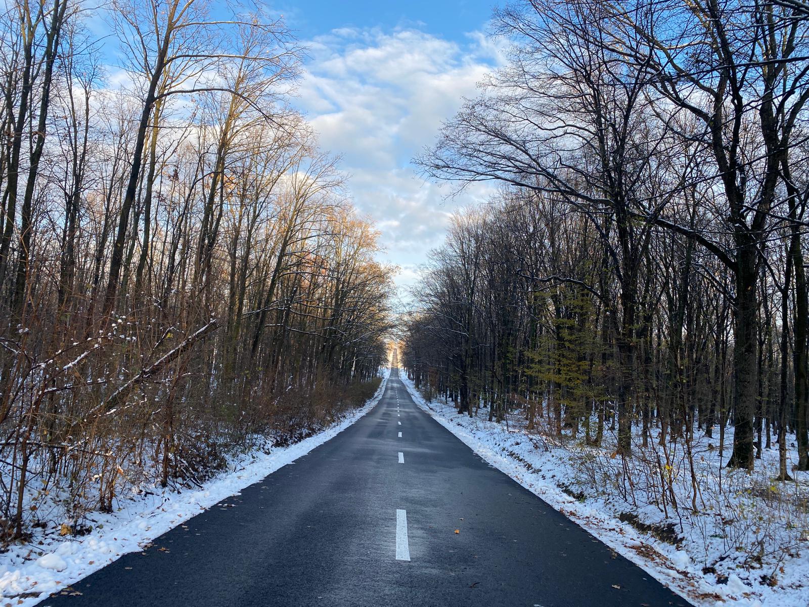 Poza zilei 28 noiembrie 2024 