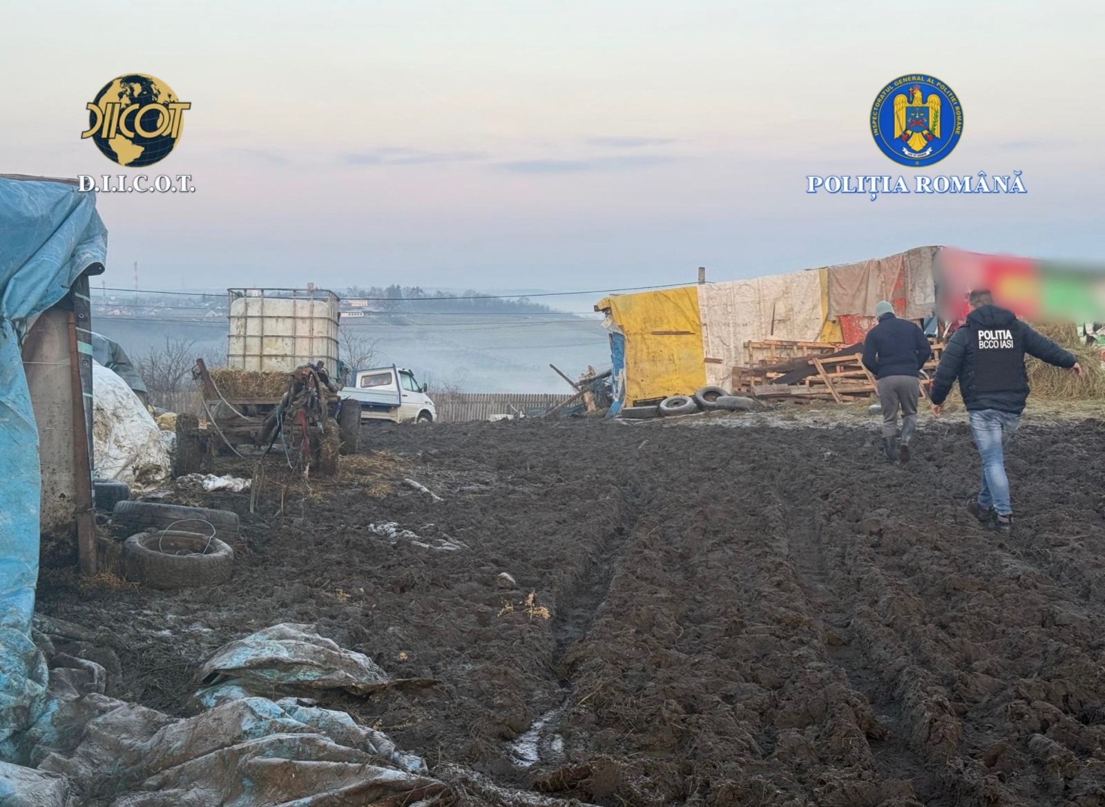 PERCHEZIȚII cu mascați la o fermă: Muncă forțată și condiții inumane, chin și pentru un băiat de 15 ani  