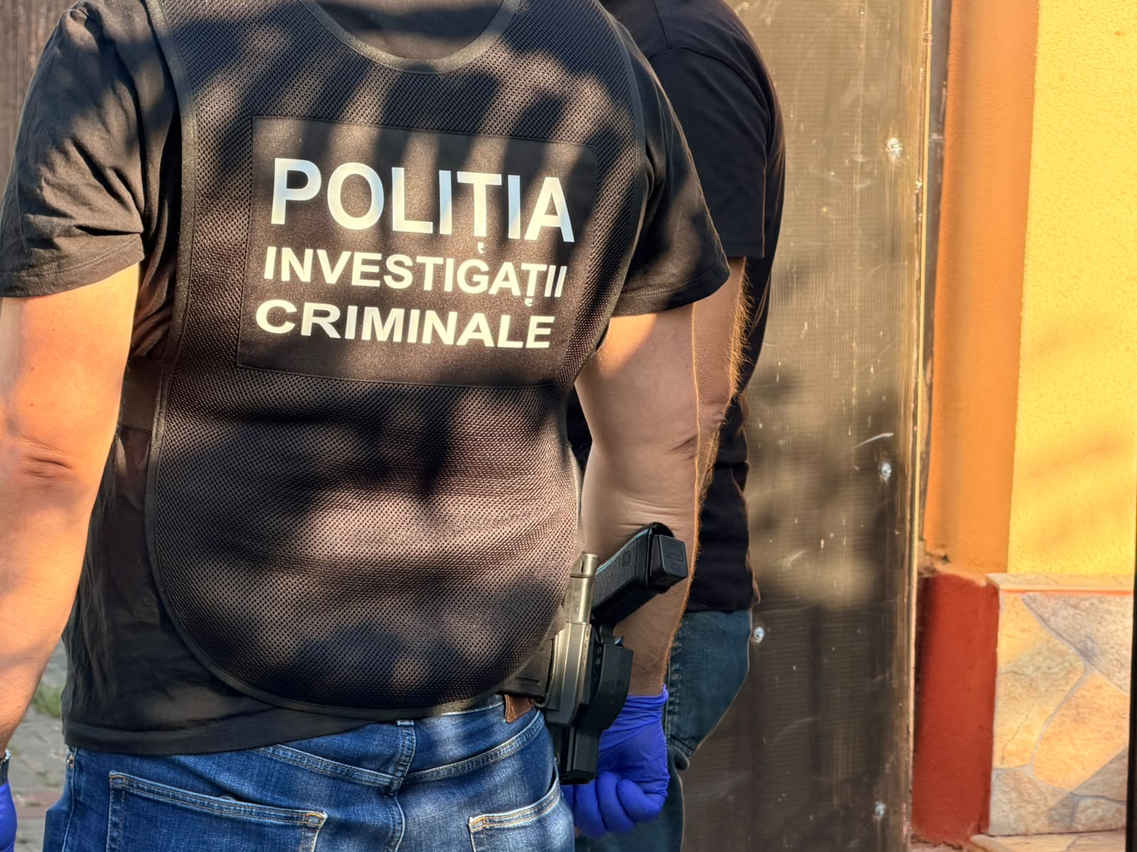 perchezitii municipiul botosani