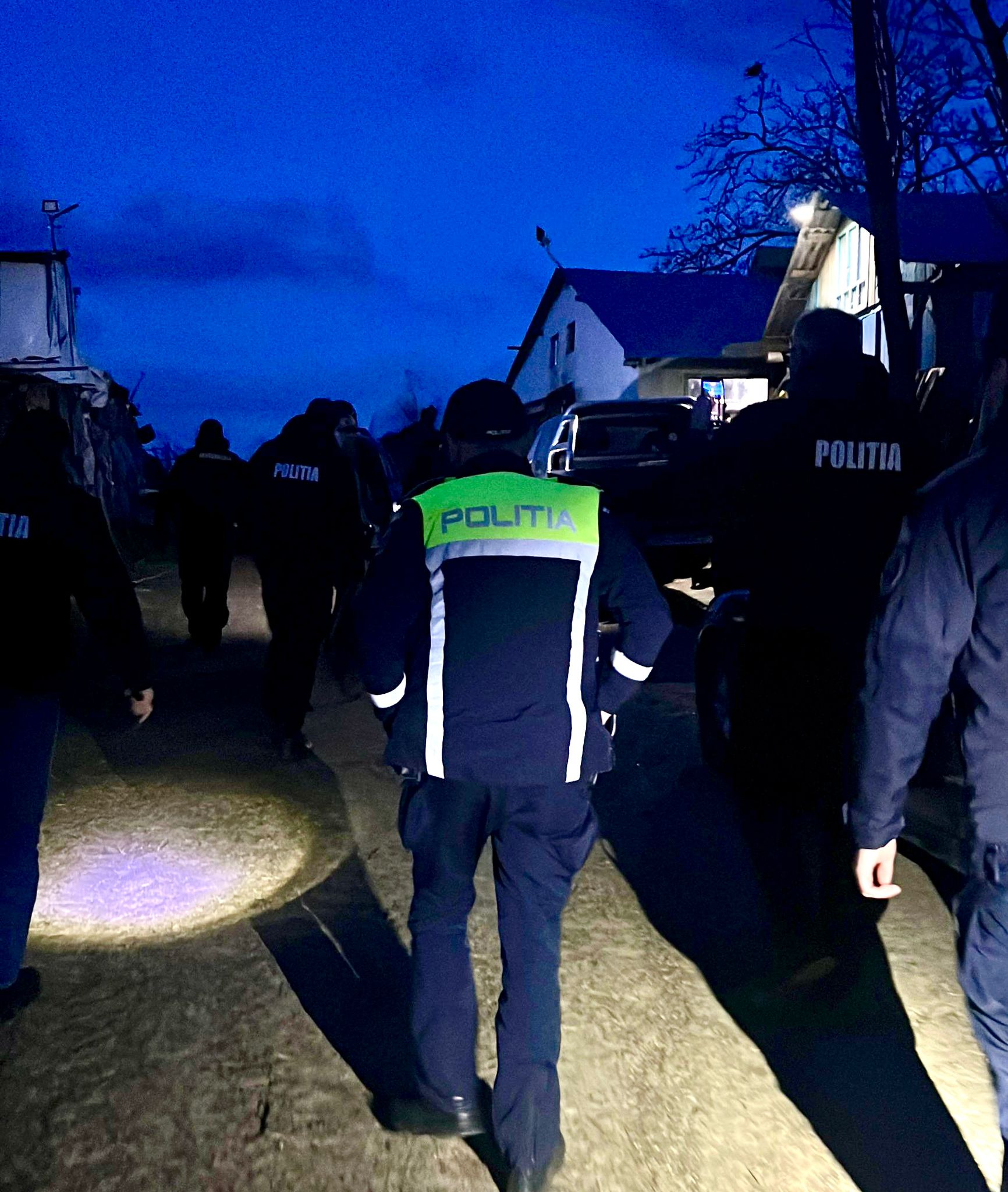 perchezitii ștefanesti.