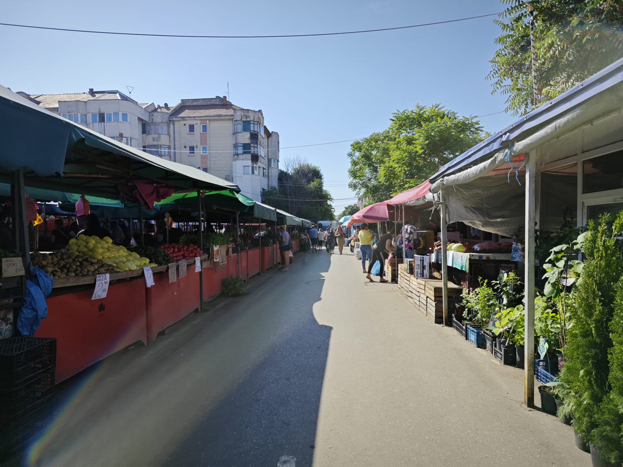 Botoșaniul, printre județele cu cea mai scumpă piață: Prețuri mari la legume 