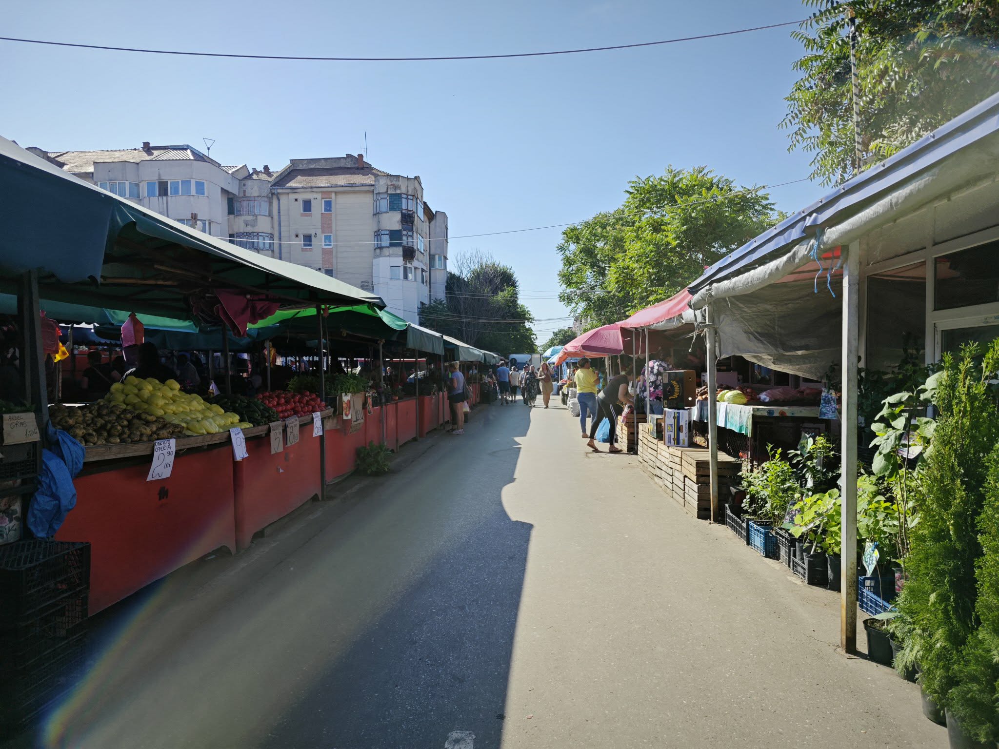 piata centrala