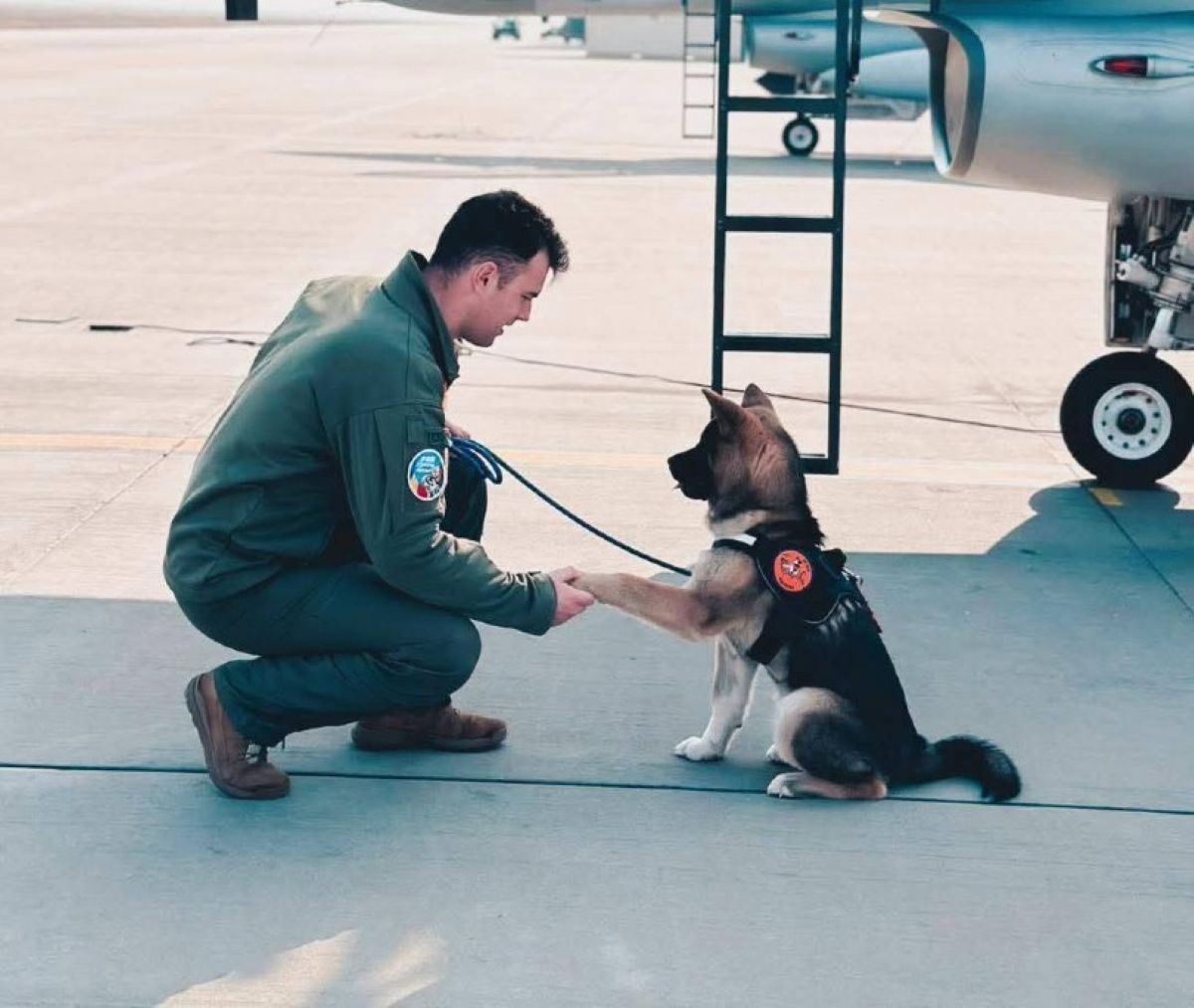 Un pilot militar a murit în timp ce încerca să salveze un câine: Drum lin spre cer, camarade!