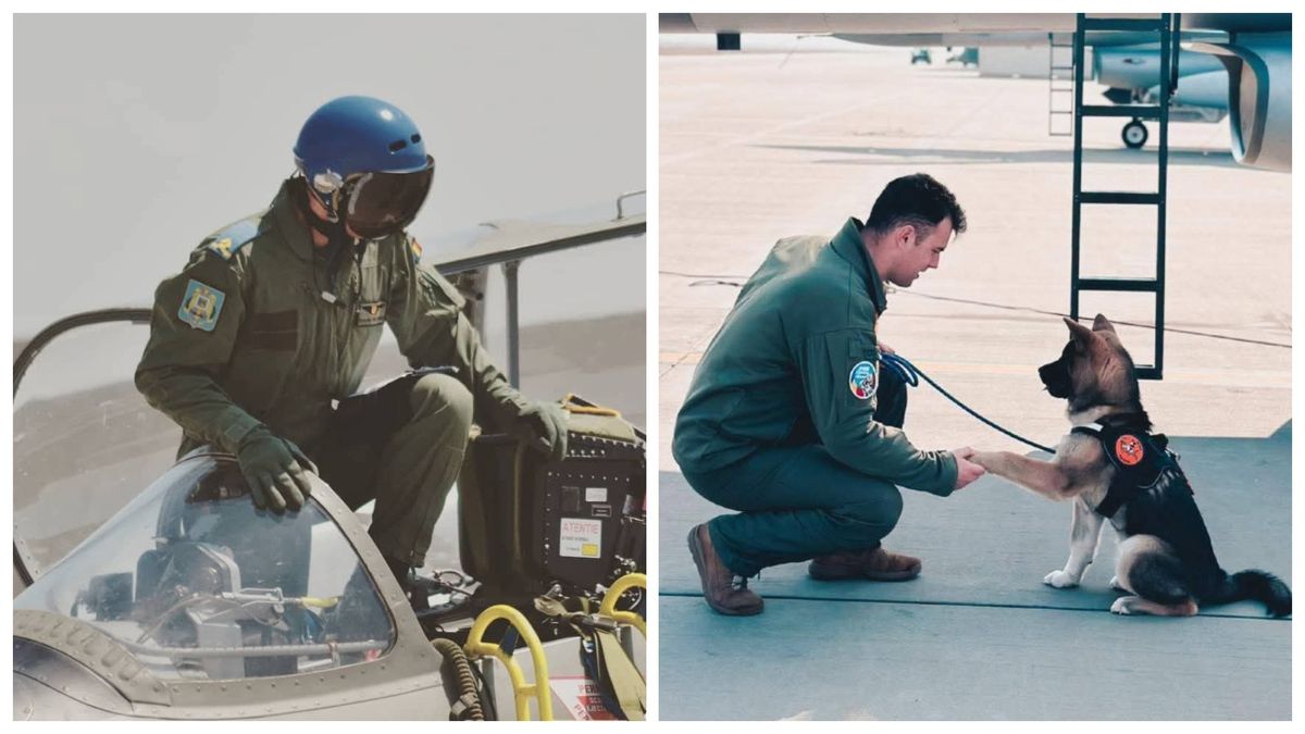 Povestea tragică a pilotului care și-a pierdut viața încercând să salveze un câine