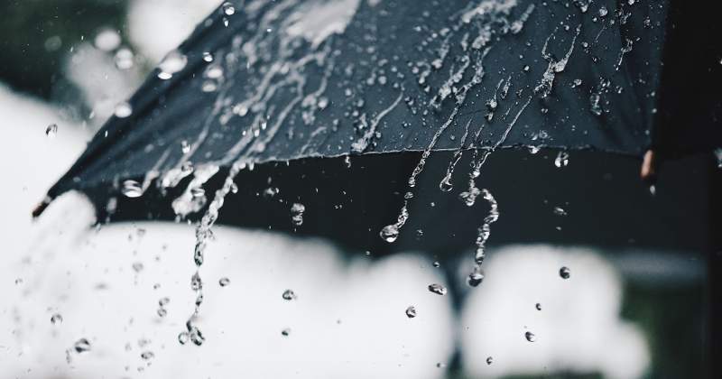 Vreme neobișnuit de blândă în Botoșani: maxime de 13-15 grade și ploi în această săptămână