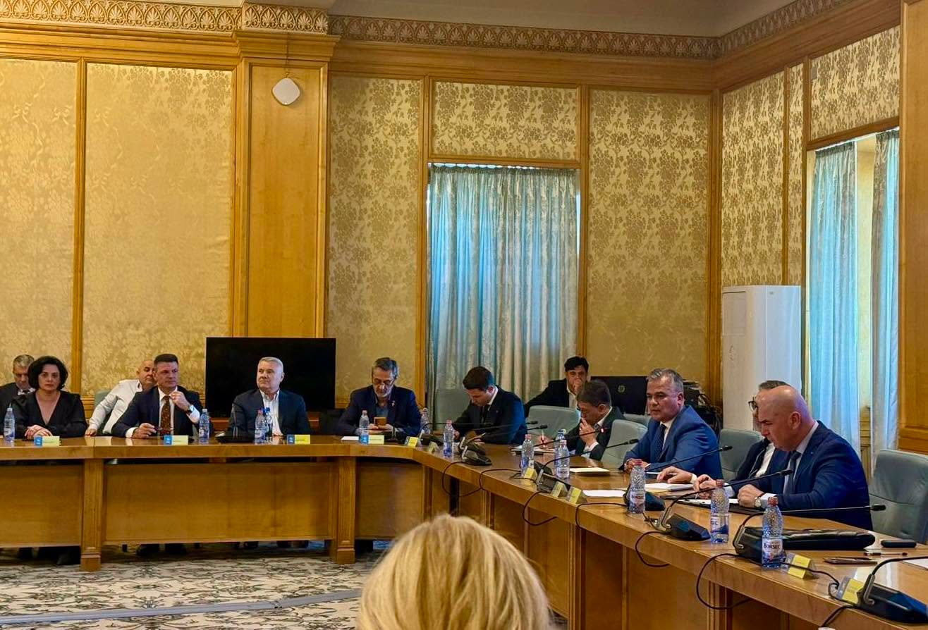 pnl judecata propriul partid