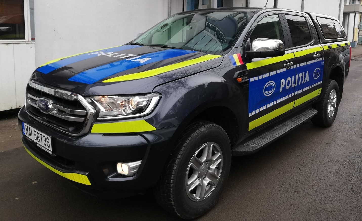 Dosare la Parchet pe numele a doi botoșăneni care au ucis câini cu cruzime