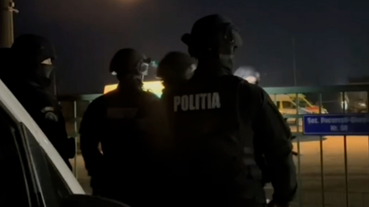 politia la adaposturi de animale