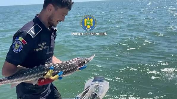 politist de frontiera peste