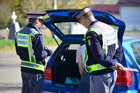 „Comoară” găsită în portbagajul unui șofer botoșănean 