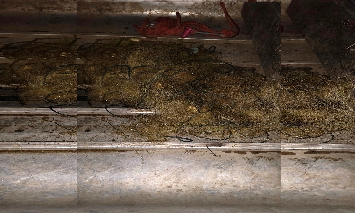 Plase de pescuit îndepărtate de polițiști de pe râul Prut 