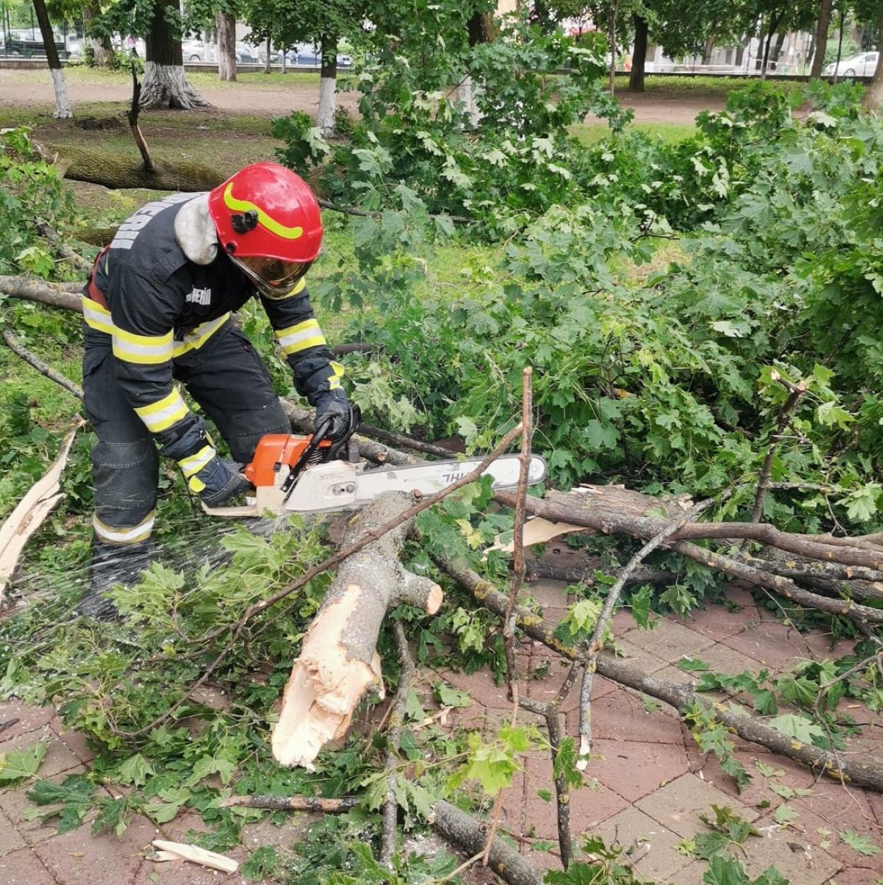pompierii au intervenit in parcul mihai eminescu