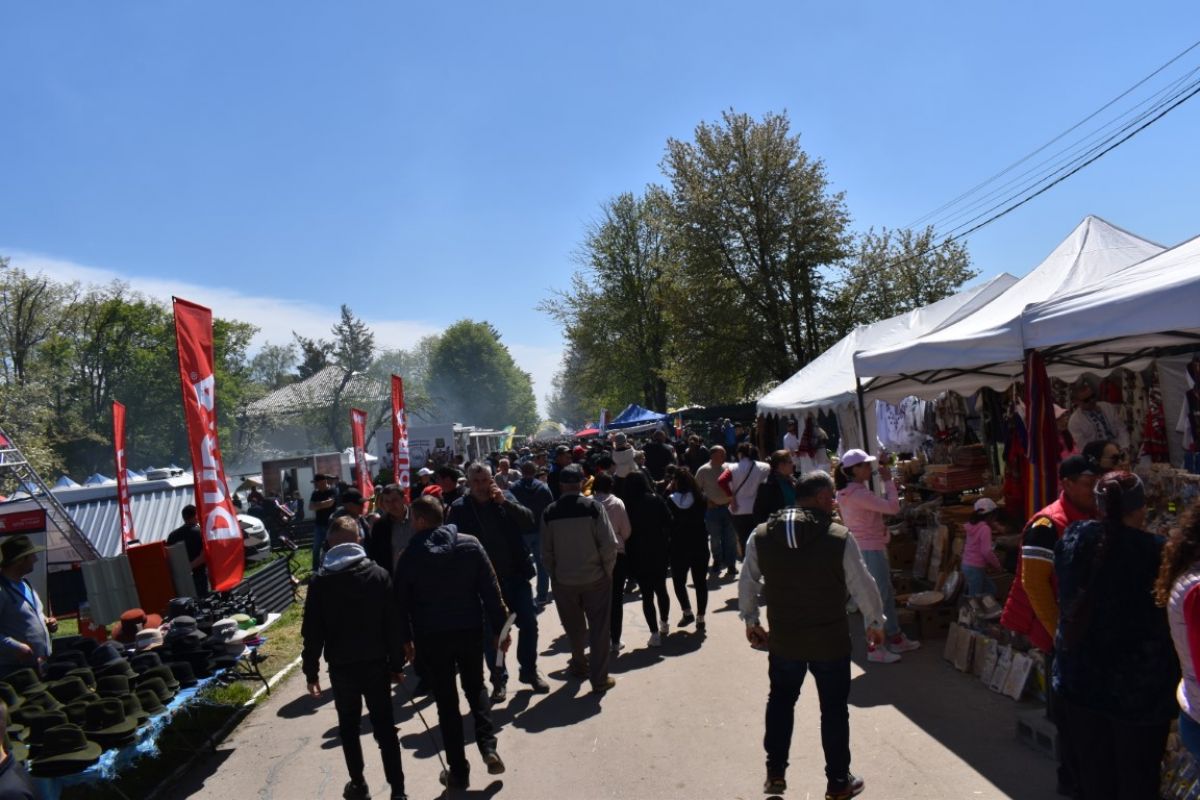 Regulament clar la Târgul Agro-Zoo, politica total interzisă, nu este voie nici măcar cu eșarfe