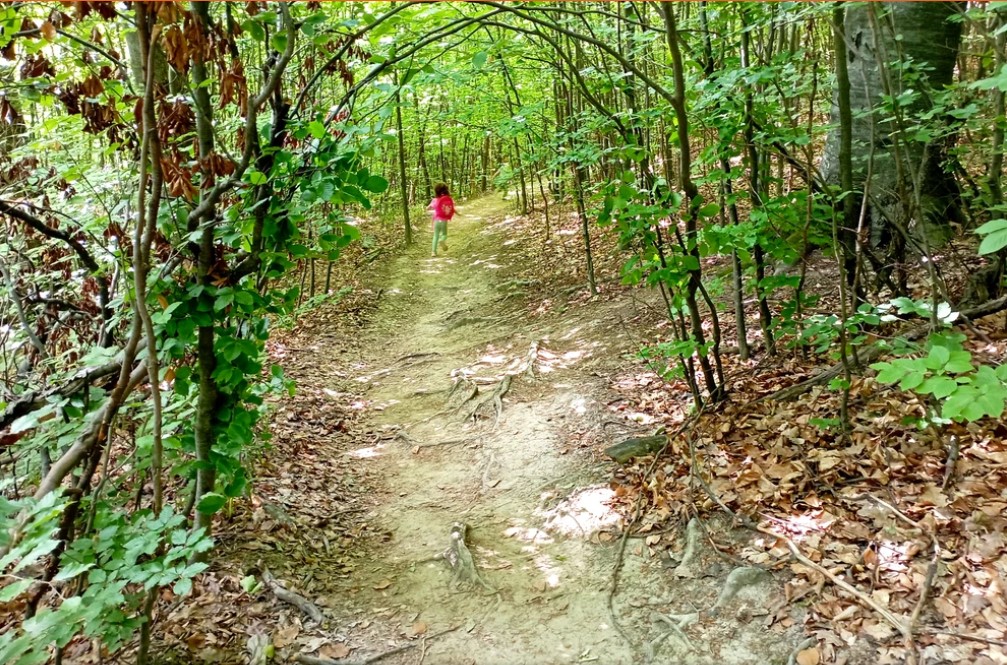 Traseul meditației de la Botoșani traversează codri seculari pe marginea unui masiv de calcar