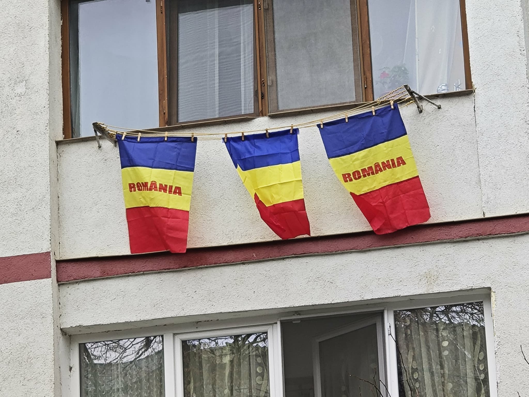 Poza zilei 1 decembrie 2025