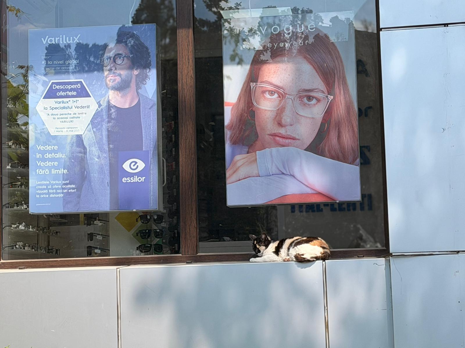 poza zilei 10 iunie
