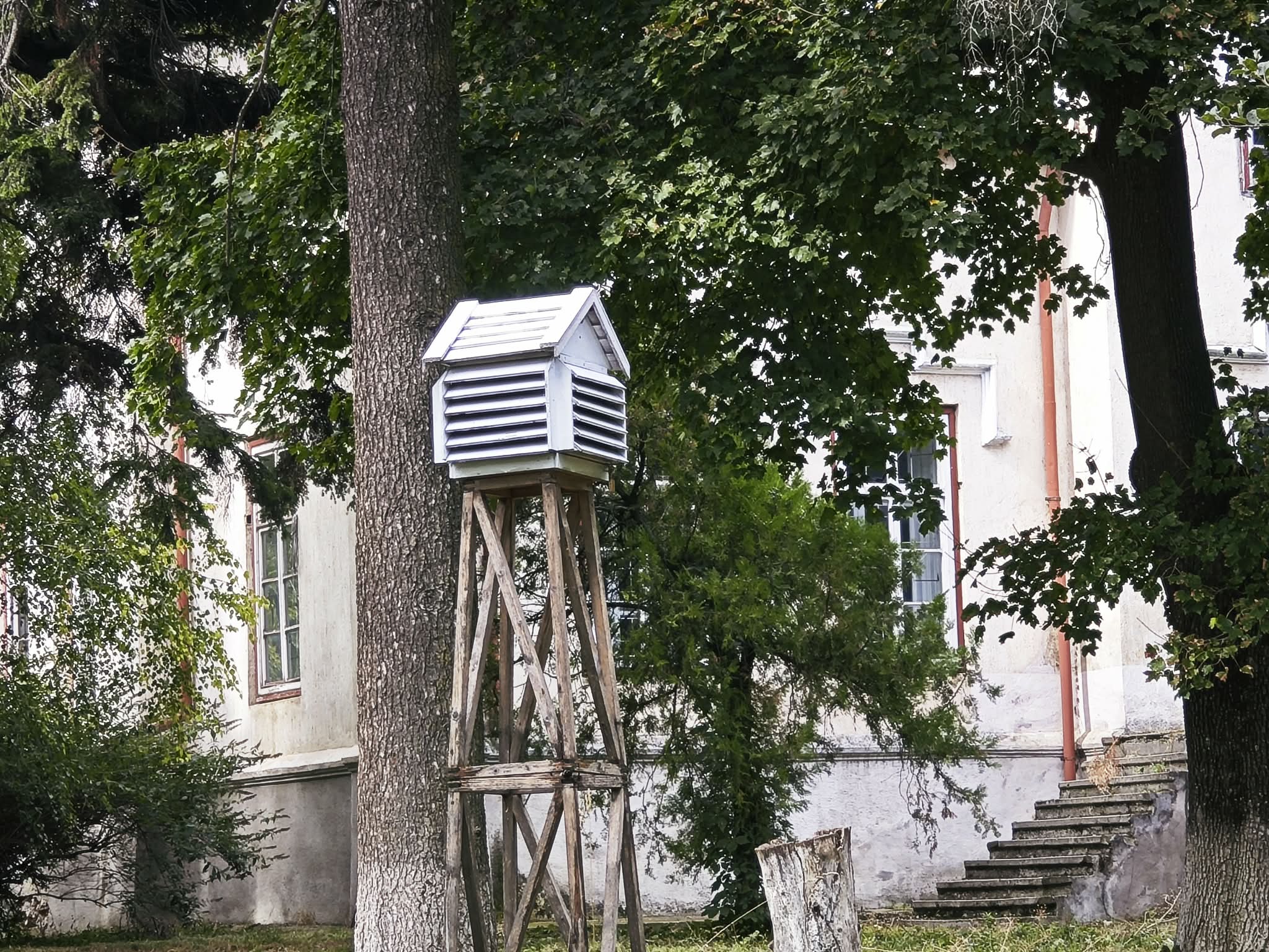 Poza zilei 10 septembrie