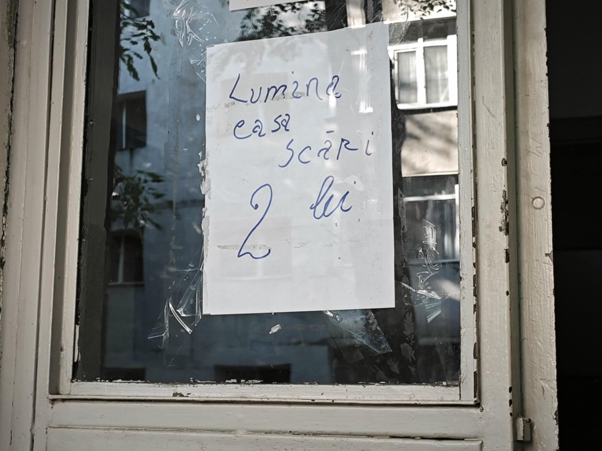 Poza zilei 12 august 2025 