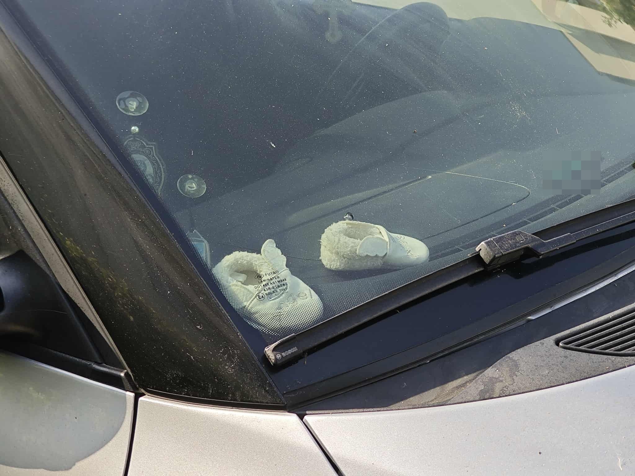 Poza zilei 12 septembrie 2025 